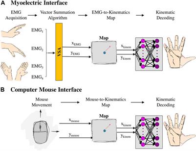 Learning to operate a high-dimensional hand via a low-dimensional controller